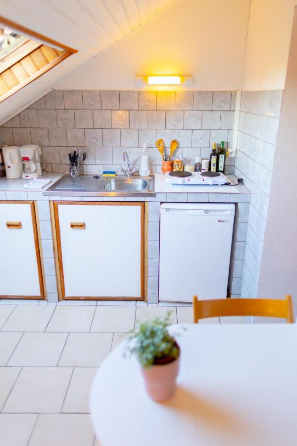Studio Cocon Sous Les Toits De Jaures Belfort Exterior photo